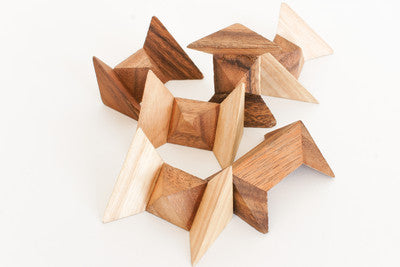 Nina Burr - Wooden Interlocking Puzzle